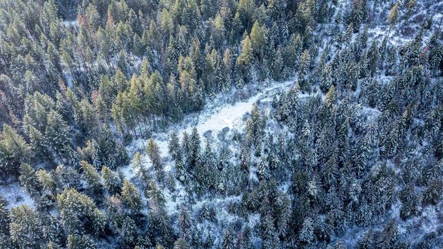 NKA Deer Creek Rd, Valley, WA 99181