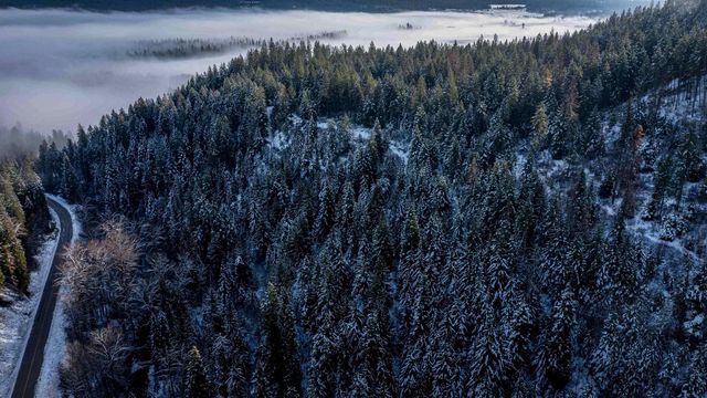 NKA Deer Creek Rd, Valley, WA 99181