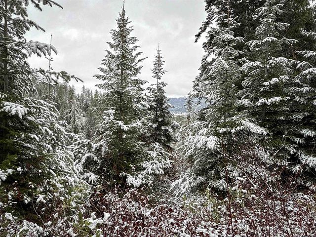 NKA Deer Creek Rd, Valley, WA 99181