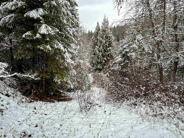 NKA Deer Creek Rd, Valley, WA 99181