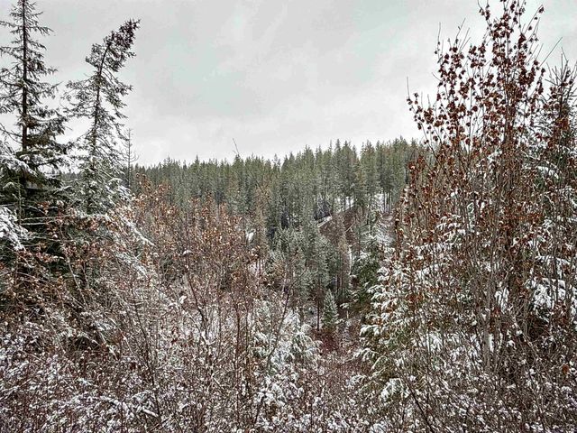 NKA Deer Creek Rd, Valley, WA 99181