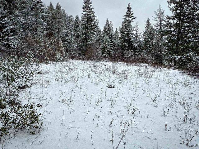 NKA Deer Creek Rd, Valley, WA 99181