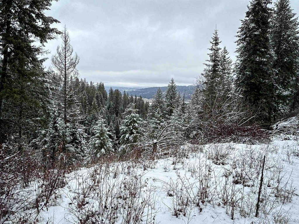 NKA Deer Creek Rd, Valley, WA 99181 photo 2