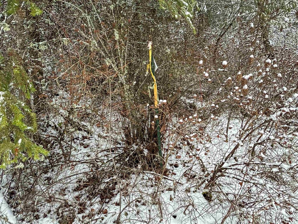 NKA Deer Creek Rd, Valley, WA 99181 photo 12