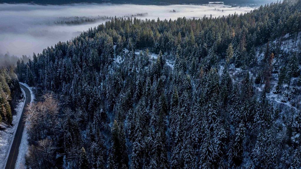 NKA Deer Creek Rd, Valley, WA 99181 photo 19