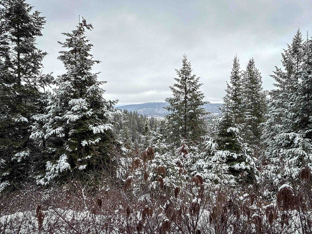 NKA Deer Creek Rd, Valley, WA 99181 photo 3