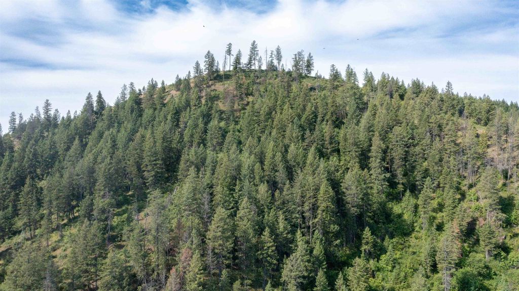 NKA Deer Creek Rd, Valley, WA 99181 photo 36
