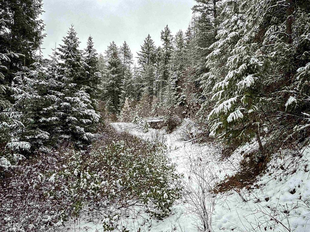 NKA Deer Creek Rd, Valley, WA 99181 photo 5