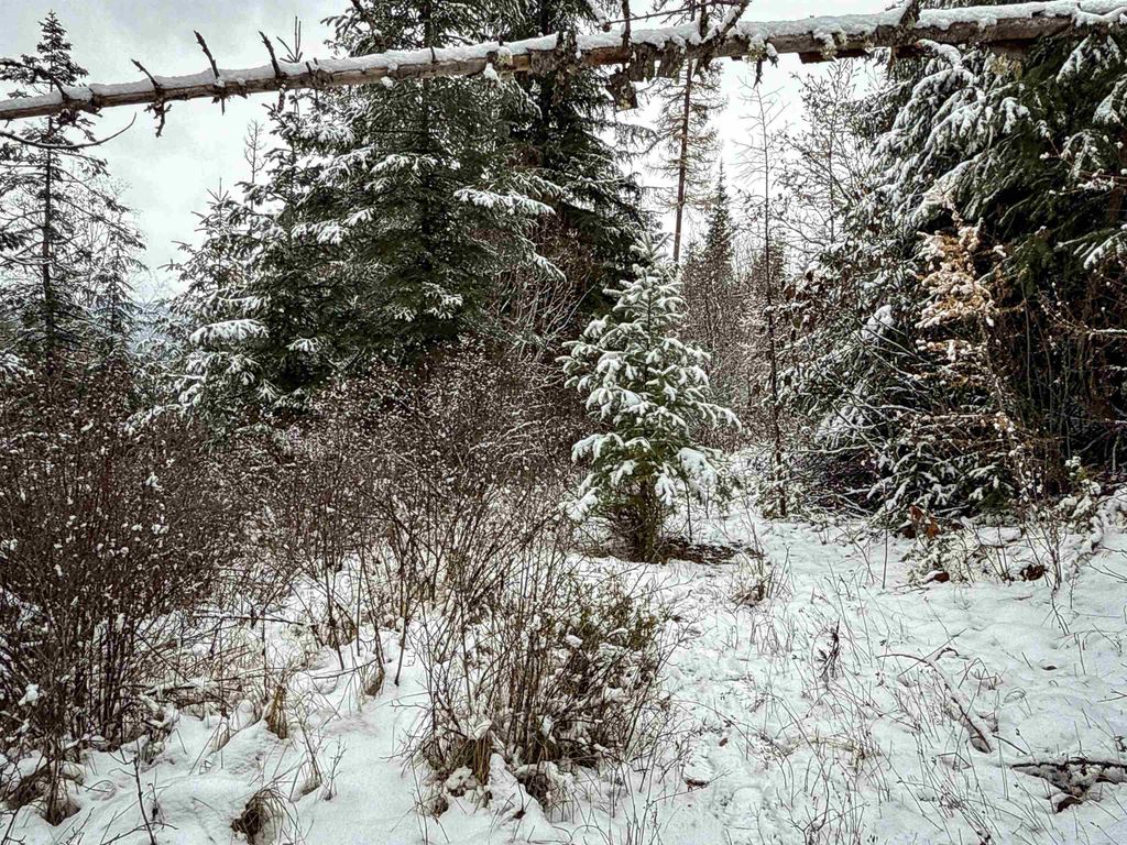 NKA Deer Creek Rd, Valley, WA 99181 photo 7