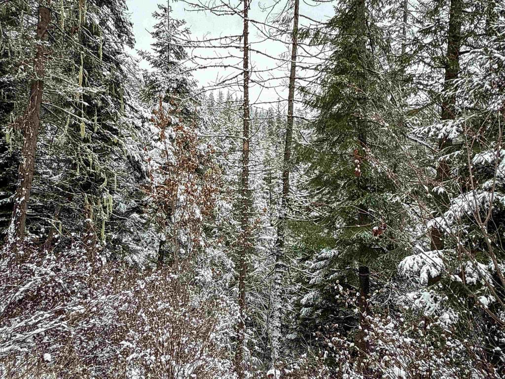 NKA Deer Creek Rd, Valley, WA 99181 photo 8