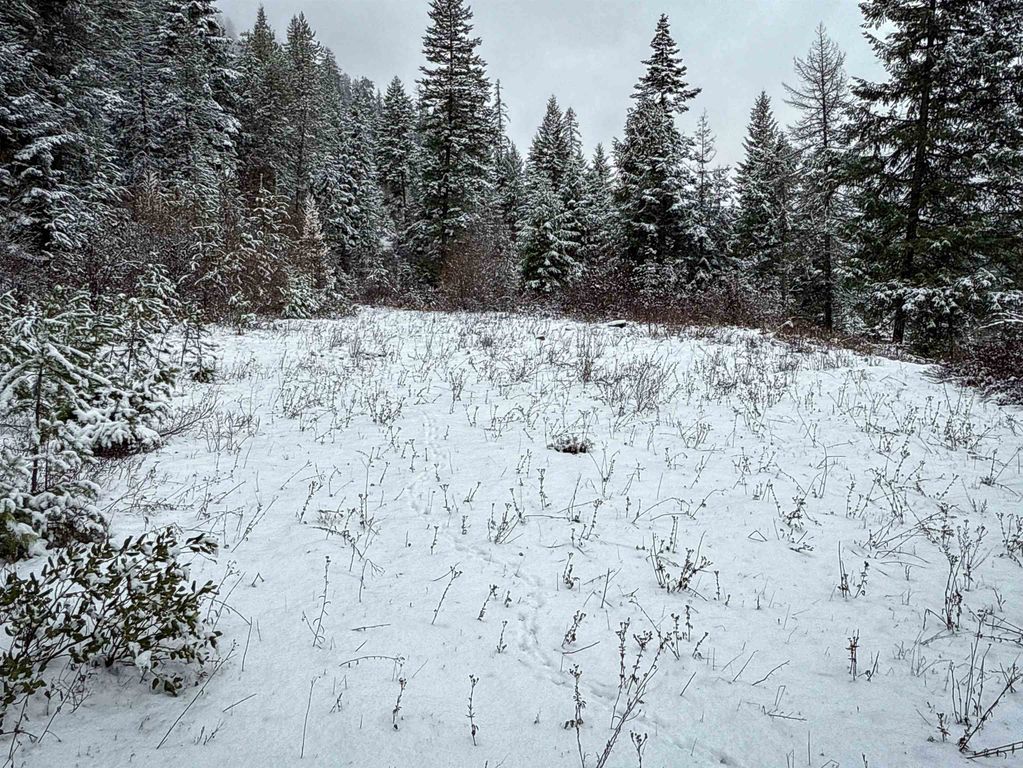 NKA Deer Creek Rd, Valley, WA 99181 photo 10