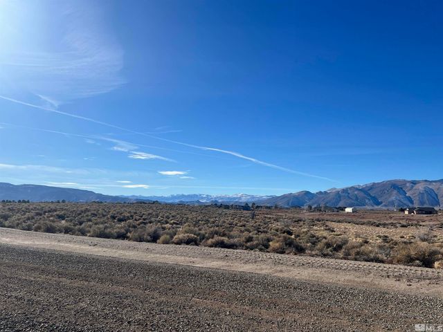 260 Mount Grant, Smith, NV 89430