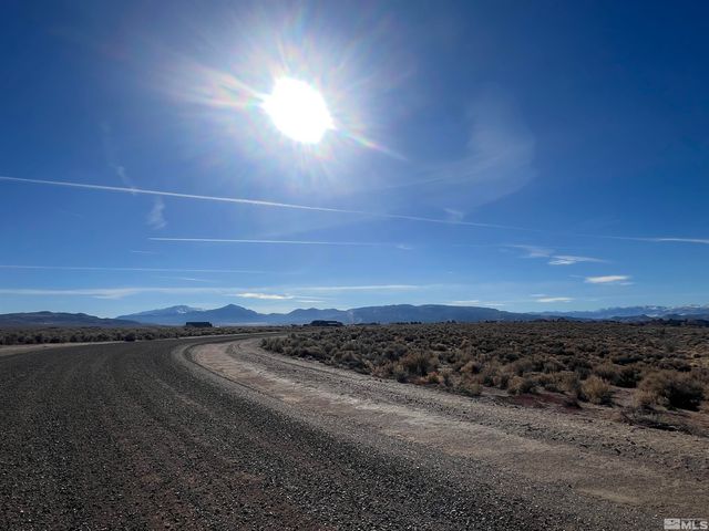 260 Mount Grant, Smith, NV 89430