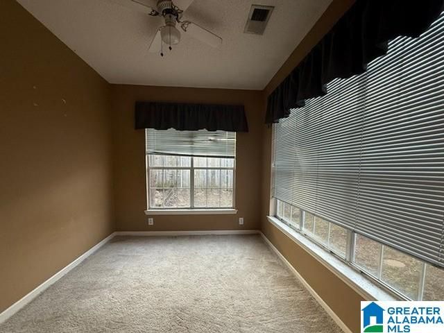 133 PARK PLACE LANE, Alabaster, AL 35007