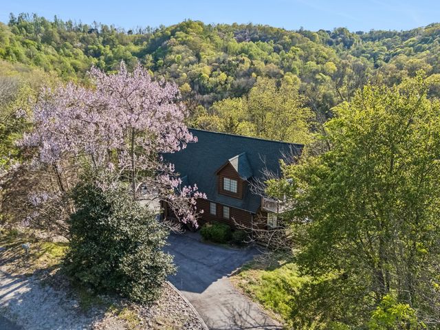 110 Lake Meadow Dr, Smithville, TN 37166