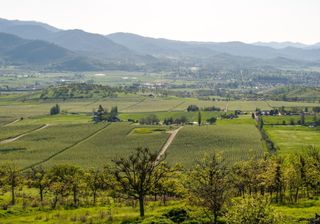 540 N Valley View Road, Ashland, OR 97520