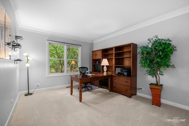 3819 Junebreeze Lane, Naperville, IL 60564