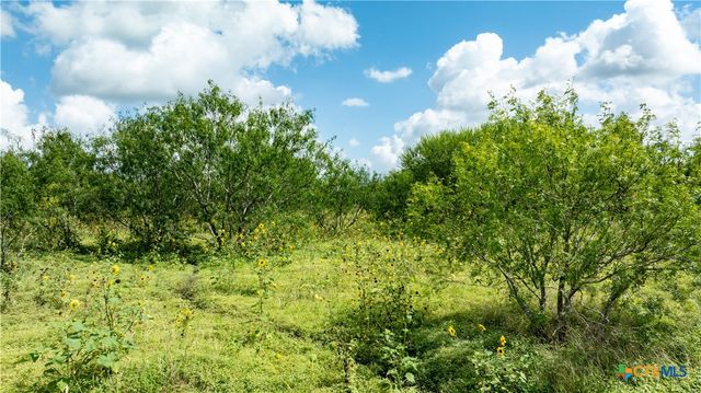 3837 Callihan Road, Luling, TX 78648
