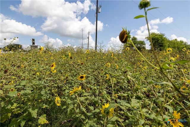 3837 Callihan Road, Luling, TX 78648