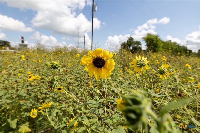 3837 Callihan Road, Luling, TX 78648