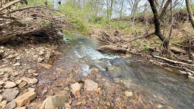 14731 Bush Road, Lincoln, AR 72744