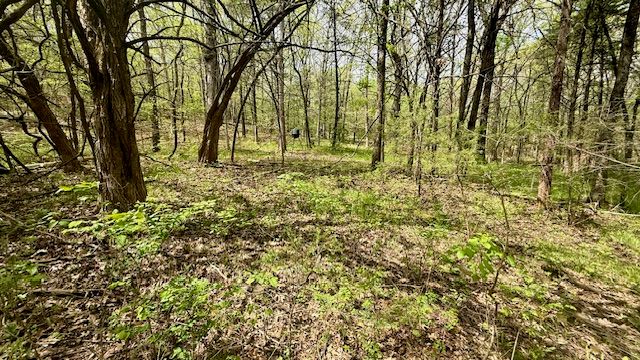 14731 Bush Road, Lincoln, AR 72744