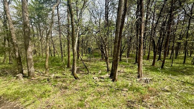 14731 Bush Road, Lincoln, AR 72744