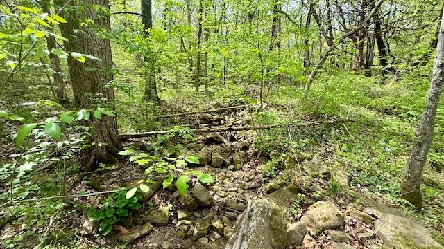 14731 Bush Road, Lincoln, AR 72744