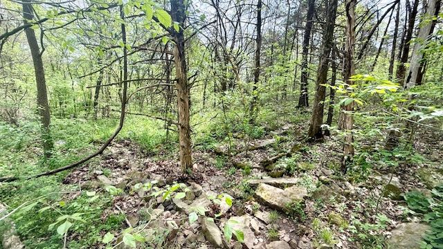 14731 Bush Road, Lincoln, AR 72744