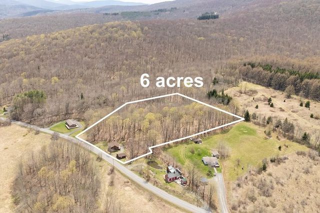 851 Lower Meeker Hollow Road, Roxbury, NY 12474