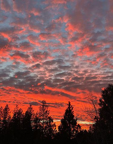 18575 SW Century Drive 2035, 2036, Bldg. 20, Bend, OR 97702