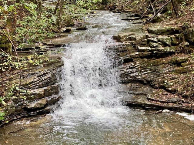 2958 Bluff View Drive W, Dunlap, TN 37327