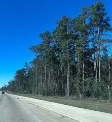 15909 Highway 105 E, Cut And Shoot, TX 77306