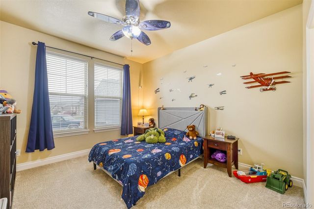 4237 Manorbrier Court, Castle Rock, CO 80104