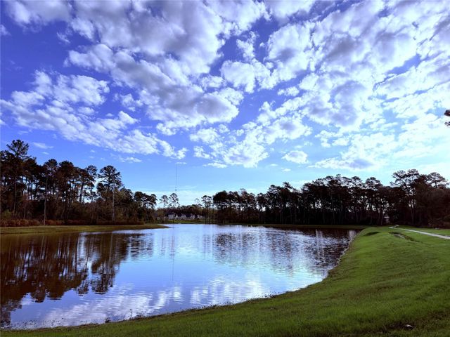 14858 Whistling Duck Lane, Magnolia, TX 77354