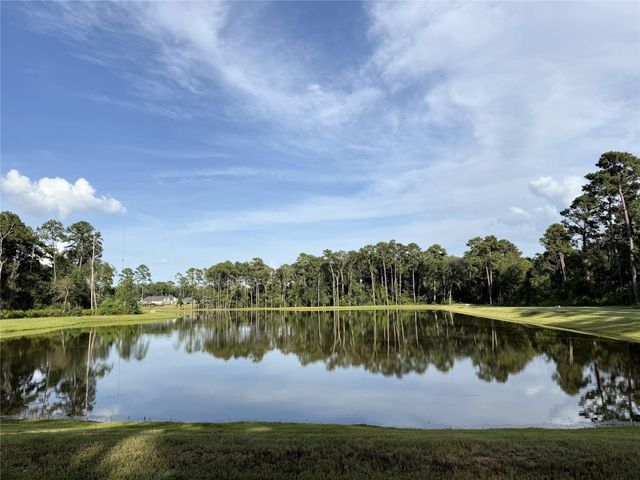 14858 Whistling Duck Lane, Magnolia, TX 77354