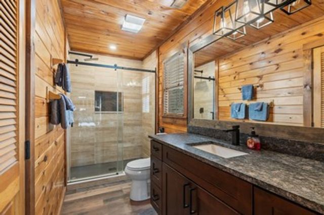 162 Little Falls Drive, Mineral Bluff, GA 30559