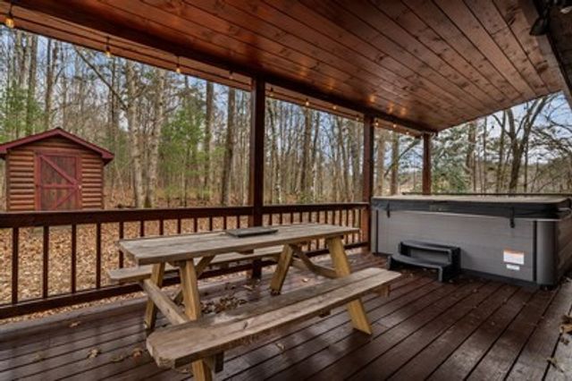 162 Little Falls Drive, Mineral Bluff, GA 30559