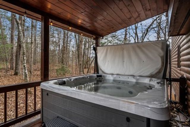 162 Little Falls Drive, Mineral Bluff, GA 30559
