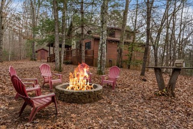 162 Little Falls Drive, Mineral Bluff, GA 30559