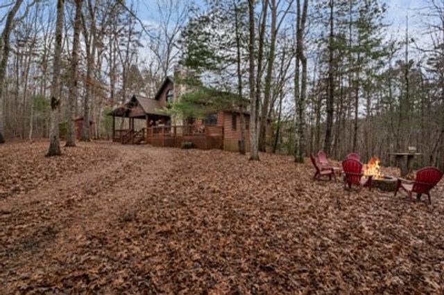 162 Little Falls Drive, Mineral Bluff, GA 30559