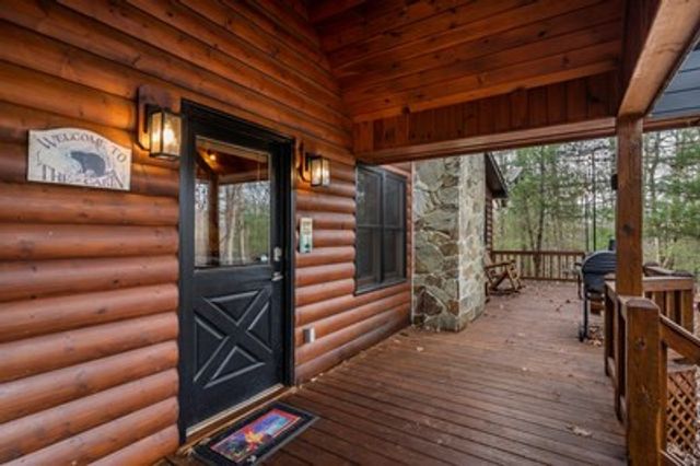 162 Little Falls Drive, Mineral Bluff, GA 30559