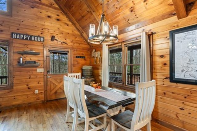 162 Little Falls Drive, Mineral Bluff, GA 30559