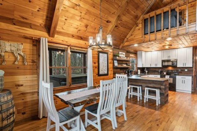 162 Little Falls Drive, Mineral Bluff, GA 30559