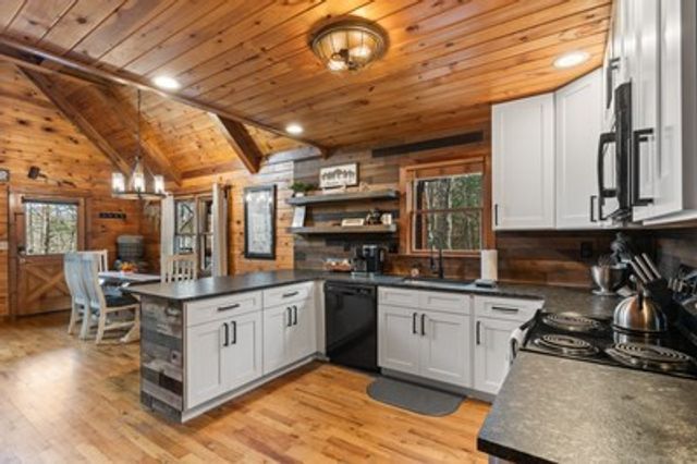 162 Little Falls Drive, Mineral Bluff, GA 30559