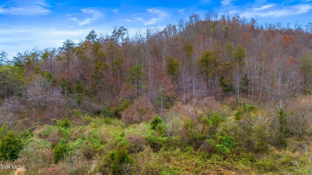 661 E Pumpkin Valley Rd, Eidson, TN 37731