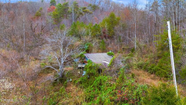 661 E Pumpkin Valley Rd, Eidson, TN 37731