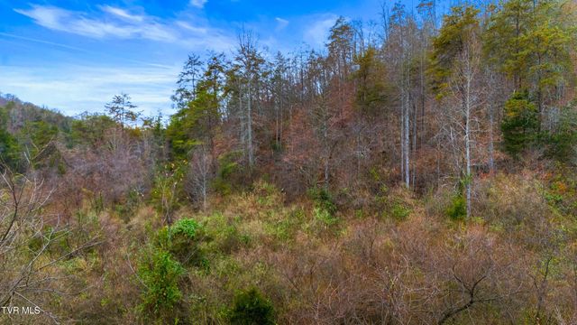 661 E Pumpkin Valley Rd, Eidson, TN 37731
