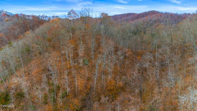 661 E Pumpkin Valley Rd, Eidson, TN 37731