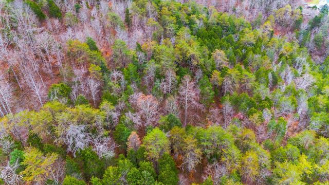 661 E Pumpkin Valley Rd, Eidson, TN 37731